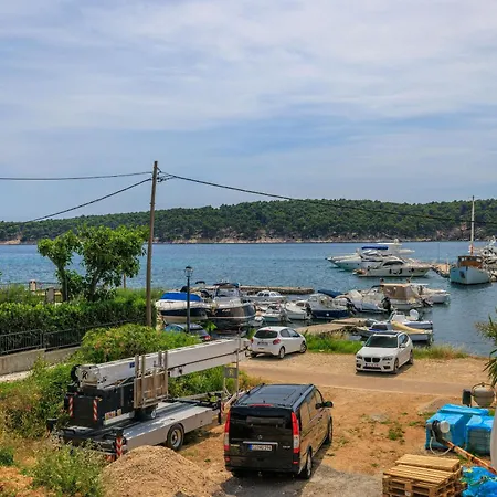 Near The Sea Barbat *